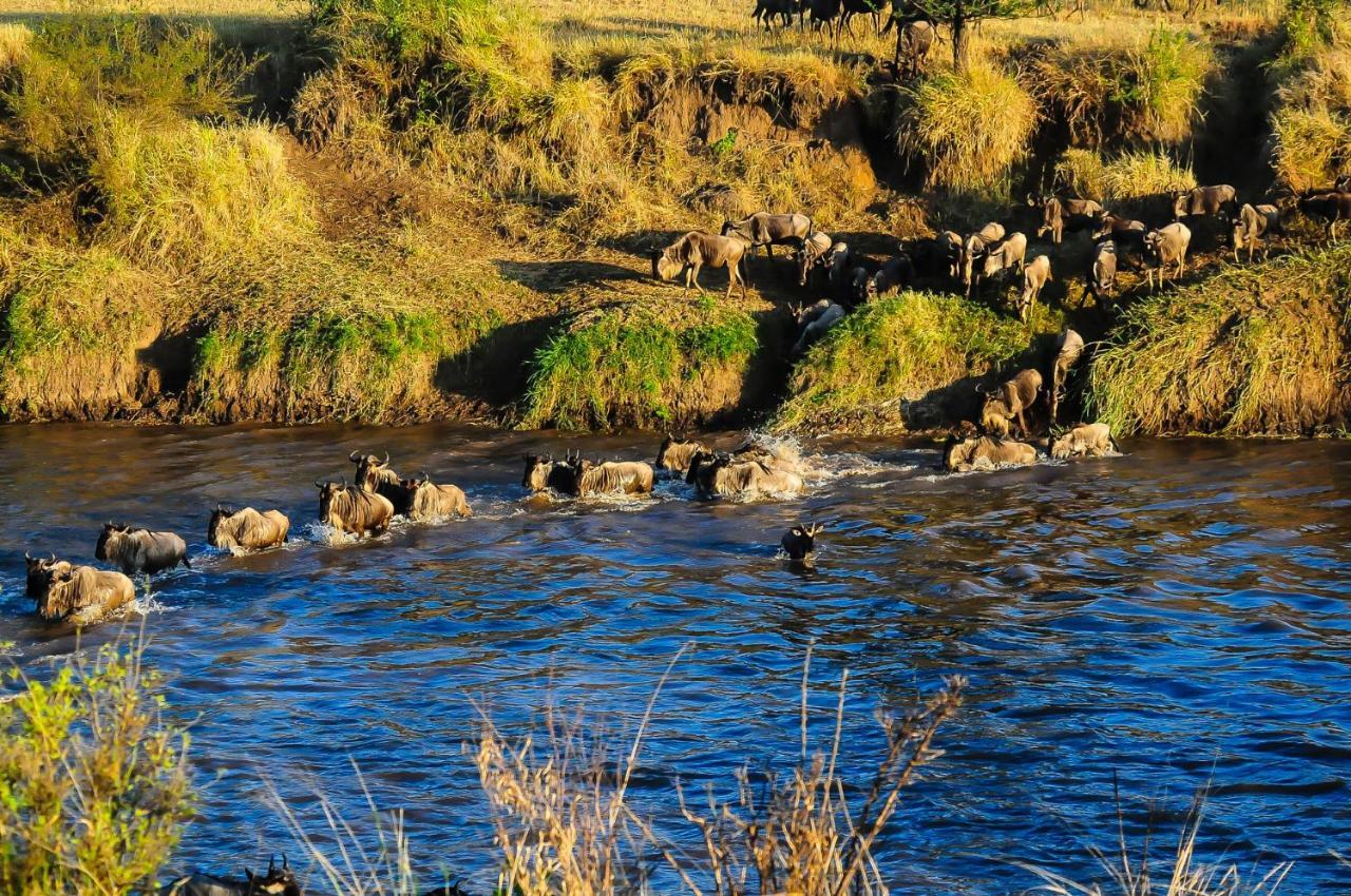 ホテル Serengeti Savannah Camps Soronera エクステリア 写真