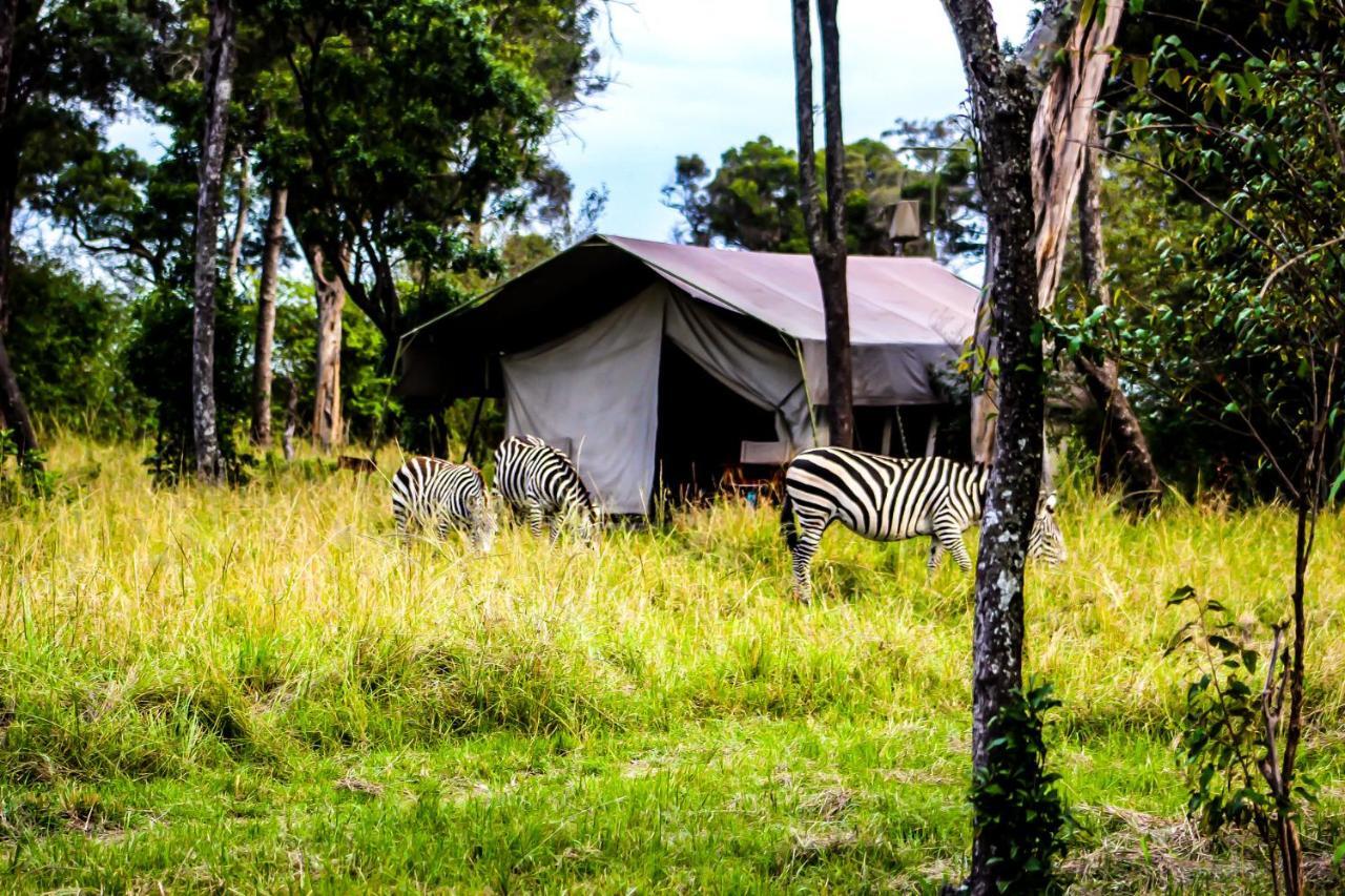 ホテル Serengeti Savannah Camps Soronera エクステリア 写真