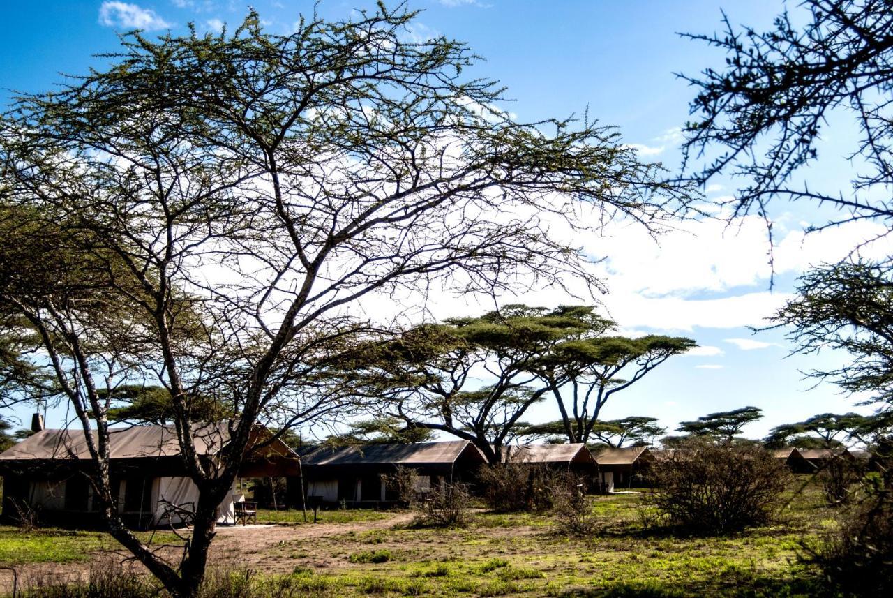 ホテル Serengeti Savannah Camps Soronera エクステリア 写真