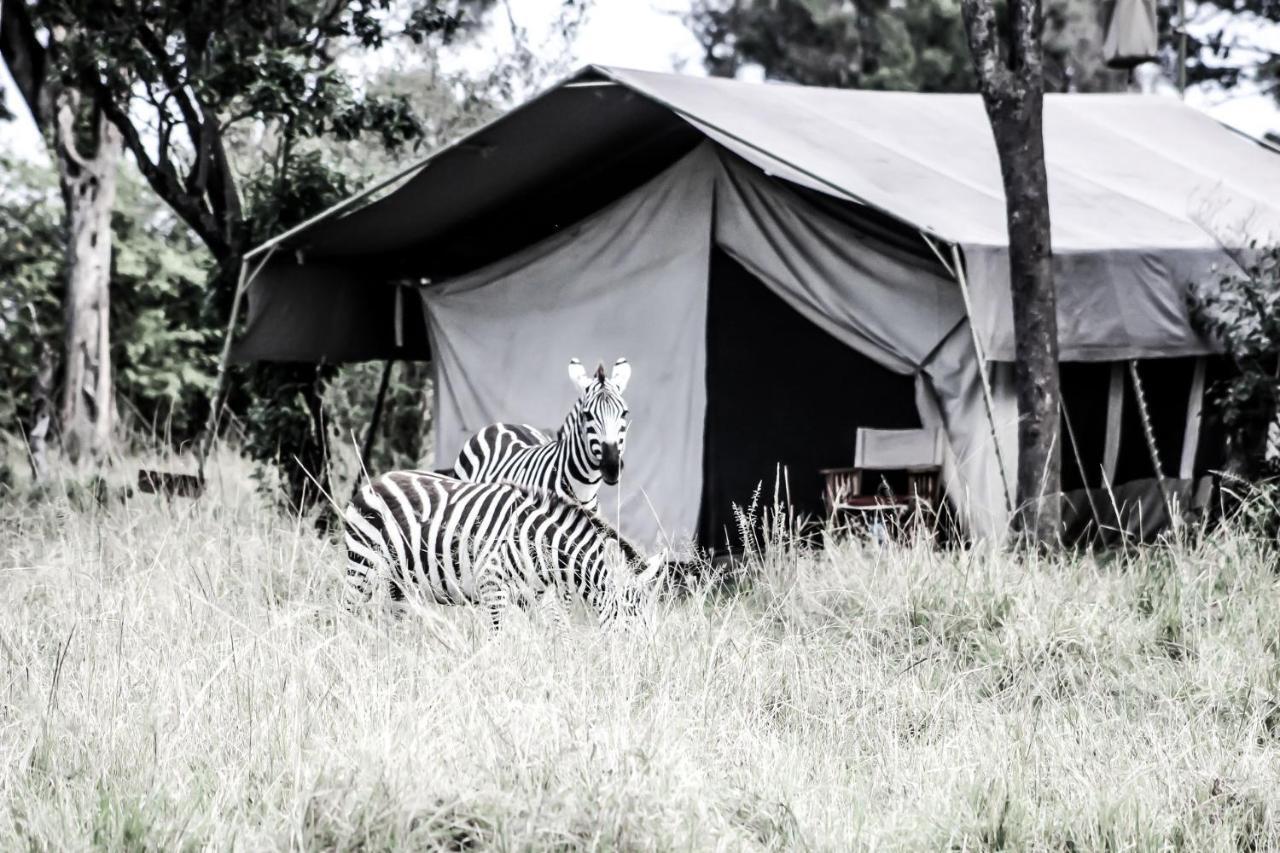 ホテル Serengeti Savannah Camps Soronera エクステリア 写真