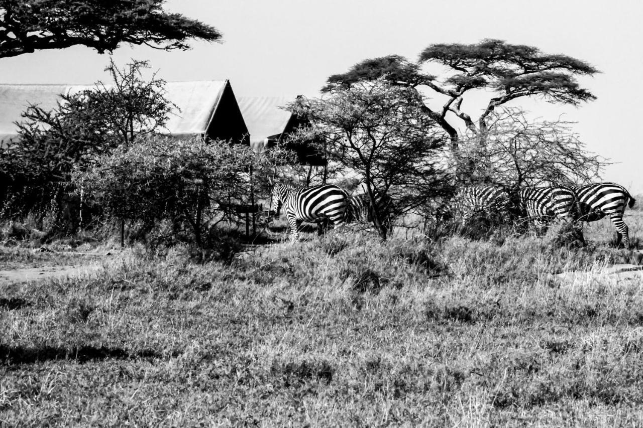 ホテル Serengeti Savannah Camps Soronera エクステリア 写真